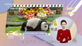 av之家在线观看